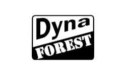 Dyna Forest